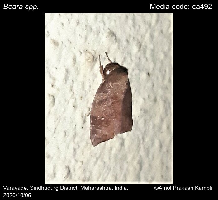 ca492
