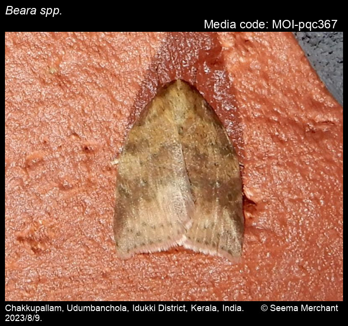 MOI-pqc367
