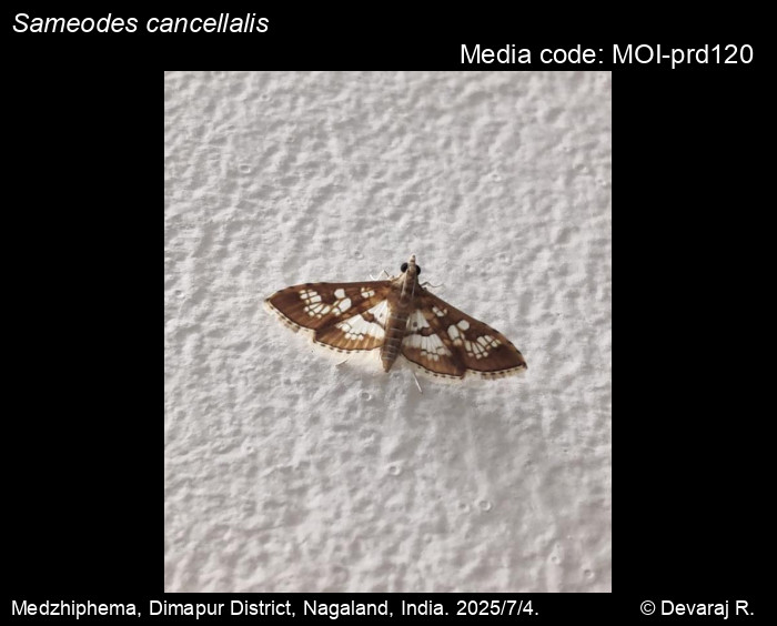 MOI-prd120